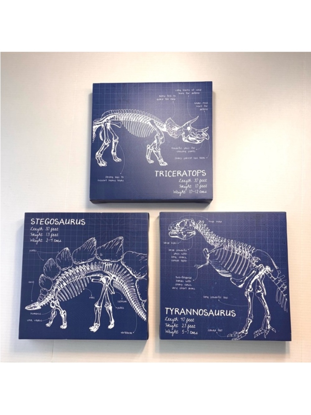 Wall art prints (3) dinosaur skeletons Triceratops Stegosaurus Tyrannosaurus 12”